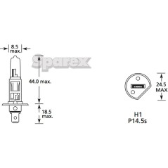 Żarówka (Halogen), 12V, 100W, P14.5s (Kartonik 1szt.) 