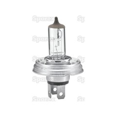 Żarówka (Halogen), 12V, 45/40W, P45t (Kartonik 1szt.)