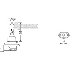 Żarówka (Halogen) H9, 12V, 65W, PGJ19-5 (Kartonik 1szt.)