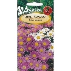 ASTER ALPEJSKI 0.3g LEG.