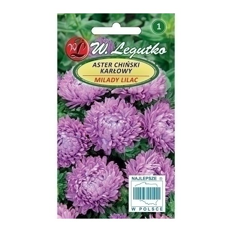 ASTER KARŁ.LILIOWY.MILADY 1g LEG. LILAC