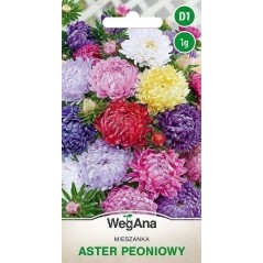 ASTER PEONIOWY MIESZANKA 1G WEGANA