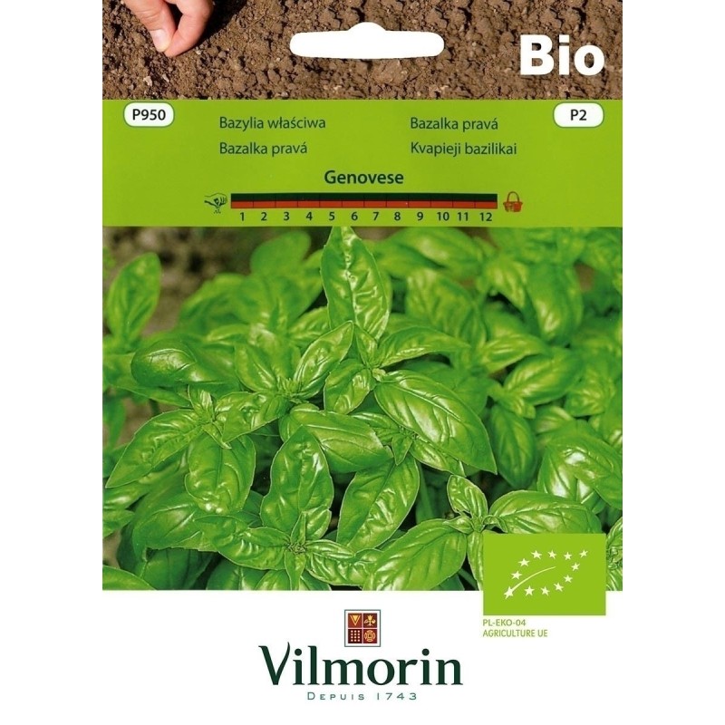 BAZYLIAGENOVESE BIO 1g VILMORIN