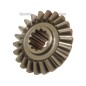 GEAR-DIFFERENTIAL-LH