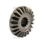 GEAR-DIFFERENTIAL-RH