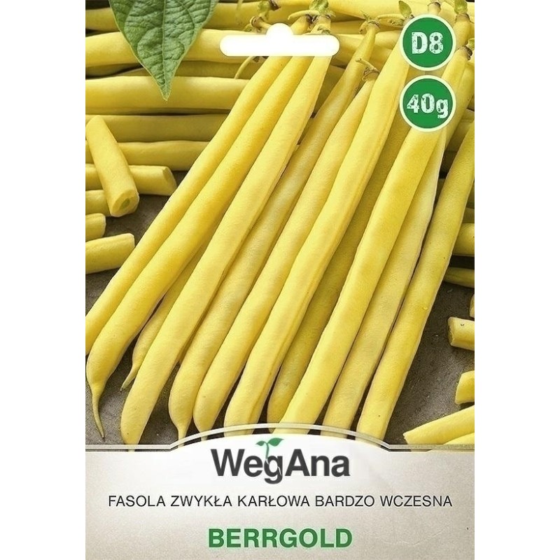 FASOLA ZWYKŁA KARŁOWA BERGGOLD 40G WEGANA