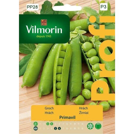 GROCH PRIMAVIL 30g PROFI VILMORIN