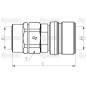 Gniazdo hydrauliczne 1/2''BSP - CVV seria