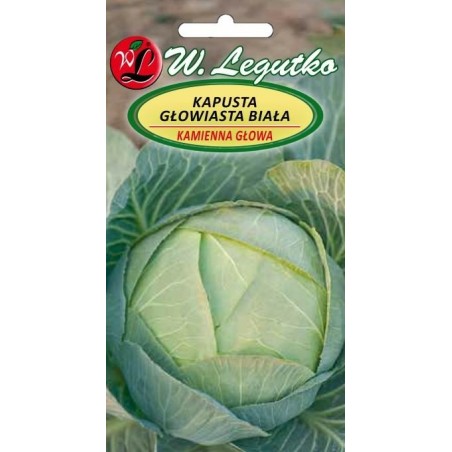 KAPUSTA BIAŁA KAMIENNA GŁOWA 50g LEG.