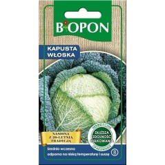 KAPUSTA WŁOSKA AUBERVILLIERS 1g BIOPON