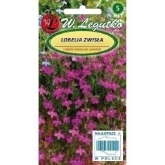 LOBELIA ZWISAJĄCA KARMINOWA 0.1g LEG.