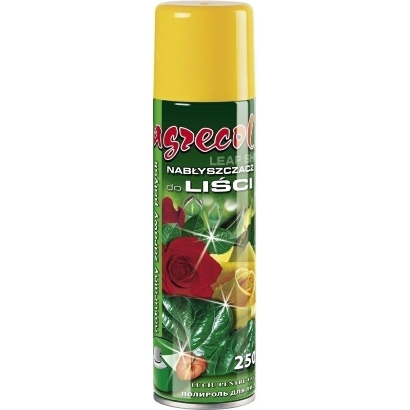 NABŁYSZCZACZ 250ml AGRECOL