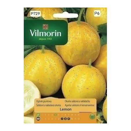 OGÓREK GRUNT.LEMON 1.5g VILMORIN ŚR.WCZESNA. ŻÓŁTA OZDOBNA