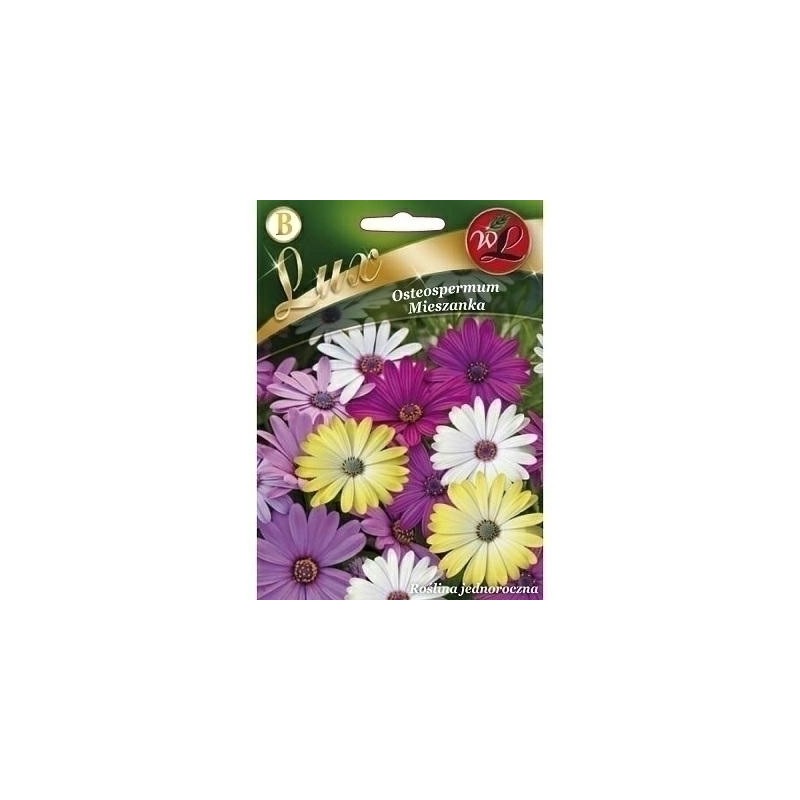 OSTEOSPERMUM 1g LUX