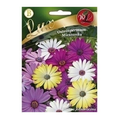 OSTEOSPERMUM 1g LUX