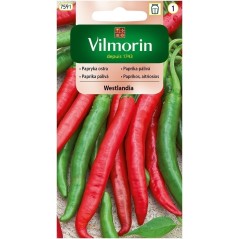 Vilmorin Pomidor szklarniowy "bekas F1" 0,2 g cnos 