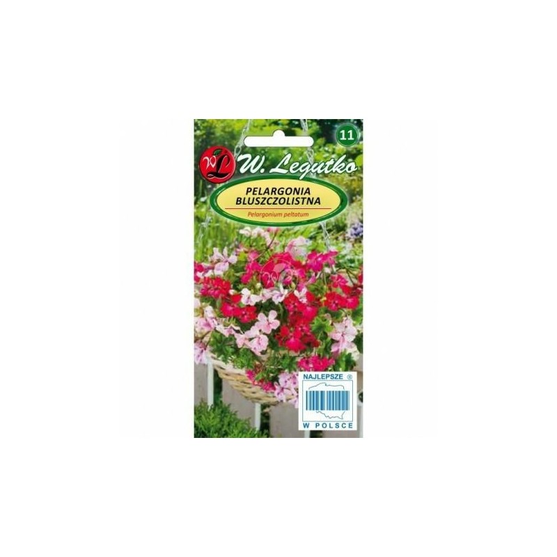 PELARGONIA MIX SPEEDY 5z LEG. BLUSZCZOLISTNA