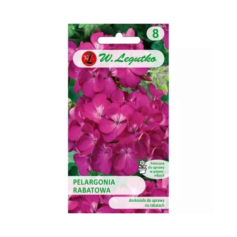 PELARGONIA RABATOWA GAMA F1 0.03g LEG.