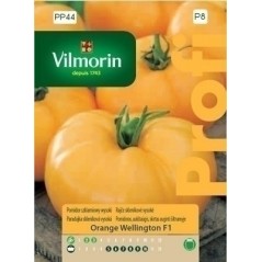 POMIDOR SZKL.ORANGE WELLINGTON F1 0.1g PROFI VILMORIN