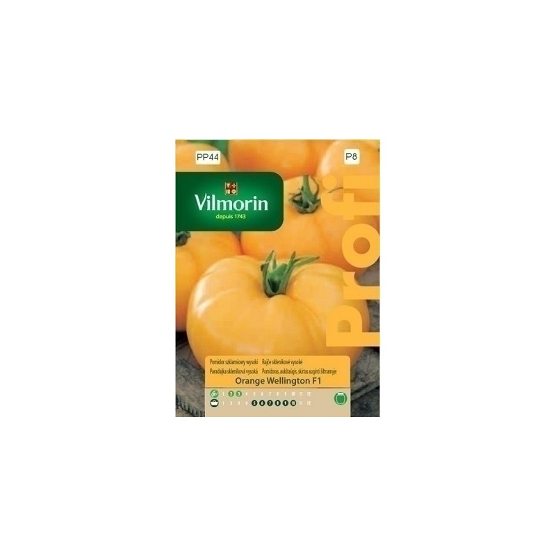 POMIDOR SZKL.ORANGE WELLINGTON F1 0.1g PROFI VILMORIN