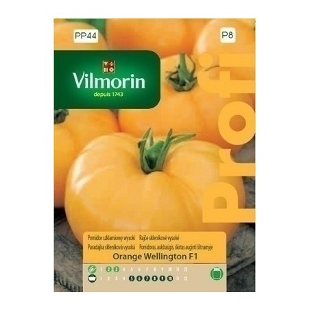 POMIDOR SZKL.ORANGE WELLINGTON F1 0.1g PROFI VILMORIN