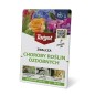 SCORPION 325SC ROŚLINY OZDOBNE 30 ML SCORPION 325 SC ROŚLINY OZDOBNE 30 ML (16)