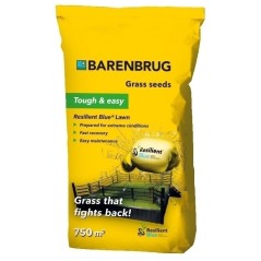 TRAWA BARENBRUG RESILIENT BLUE 15kg TOUGHEASY 750m2