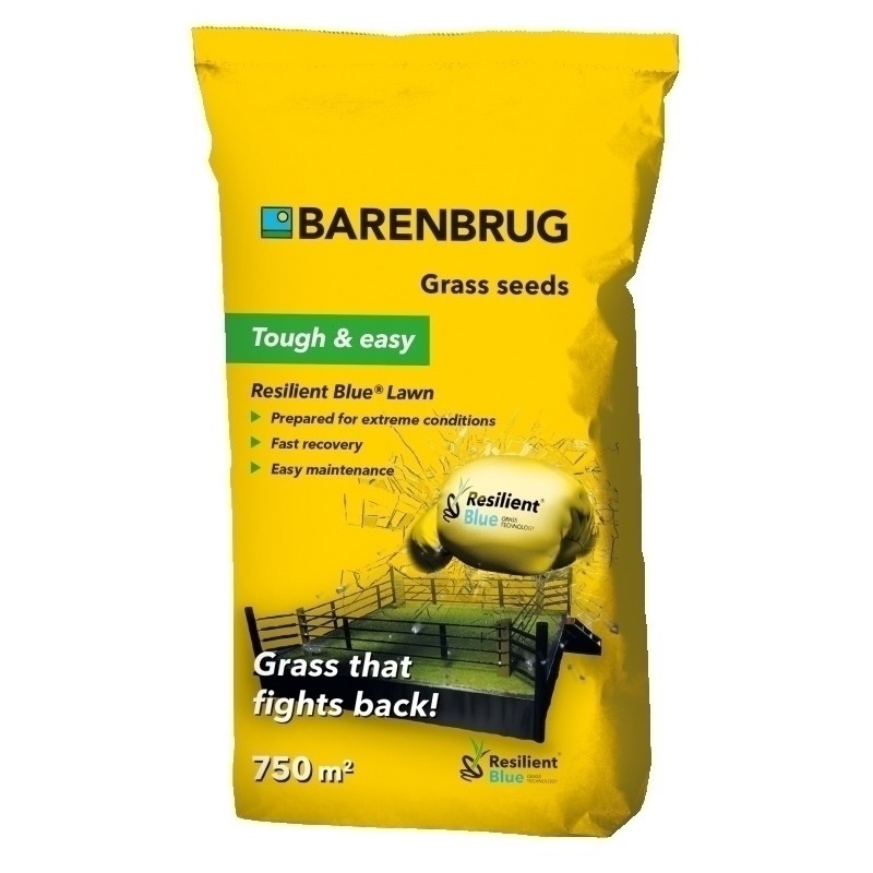 TRAWA BARENBRUG RESILIENT BLUE 15kg TOUGHEASY 750m2