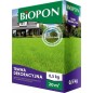 TRAWA MIESZANKA BIOPON DEKORACYJNA 0.5kg