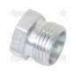 Hydraulic Blanking Plug 10L