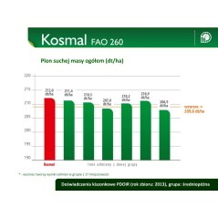 Nasiona kukurydzy kosmal  FAO260 SMOLICE zapr PL126/61/91/B418/A 