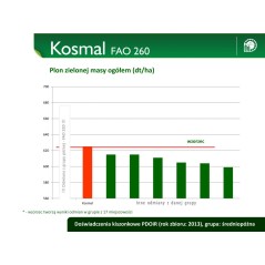 Nasiona kukurydzy kosmal  FAO260 SMOLICE zapr PL126/61/91/B418/A 