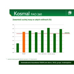 Nasiona kukurydzy kosmal  FAO260 SMOLICE zapr PL126/61/91/B418/A 