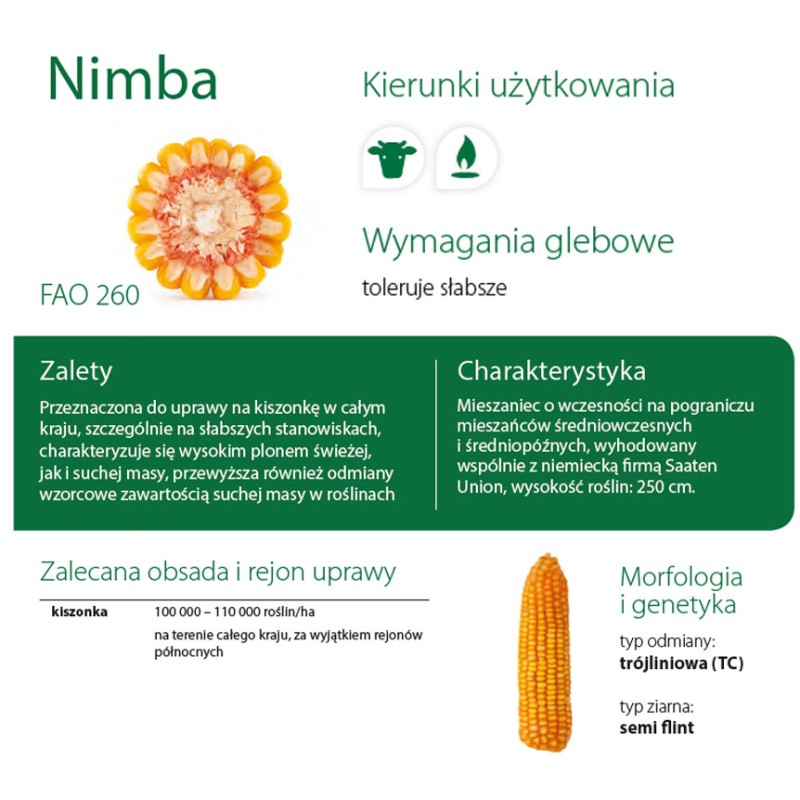 Kukurydza Nimba C/1 PL926/61/91/B1934/A MTN/JS.14,1KG/JS