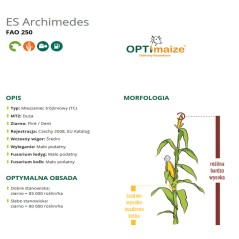 Kukurydza Es Archimedes C/1,F1 50 TYS