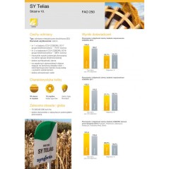 Nasiona kukurydzy Kukurydza Sy Telias 