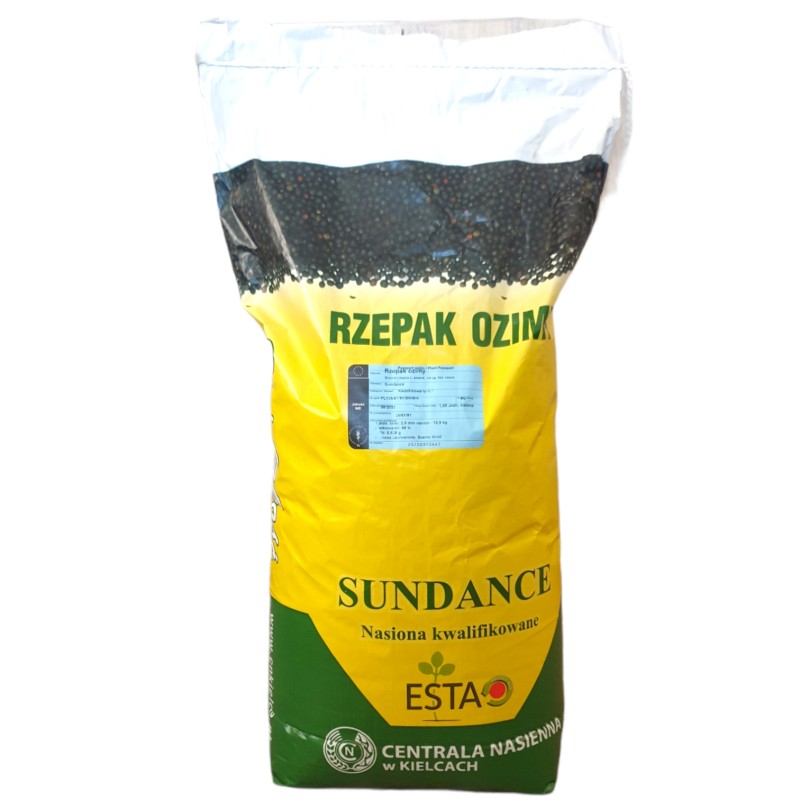 Rzepak ozimy Sundance zaparwa Scenic Gold