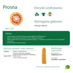 Kukurydza Prosna C1 PL926/61/91/B1948/A