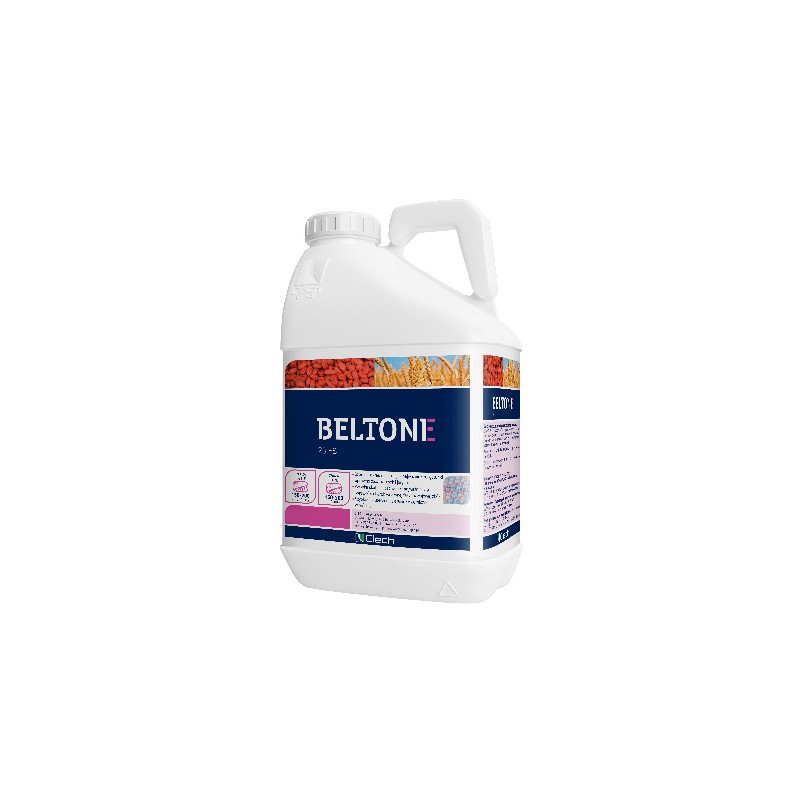 Beltone 25 FS 10l