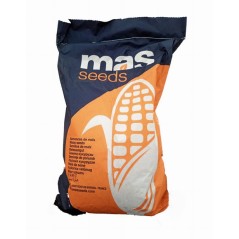 Nasiona kukurydzy kukurydza MAS 26.R 50 tys. nas. FAO 260