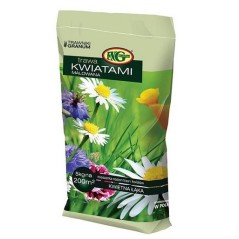 T/ Marchew pastewna C1 Krystyna 1kg 
