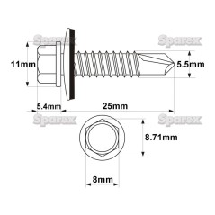 Blachowkręty, Wymiar: 5.5 x 25mm (DIN 7504K) 