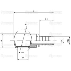 Dicsa Wkłąd węża 1'' x 1'' Ø 