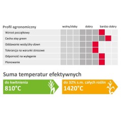 Nasiona Kukurydzy Angeleen 240-250 Limagrain Redigo