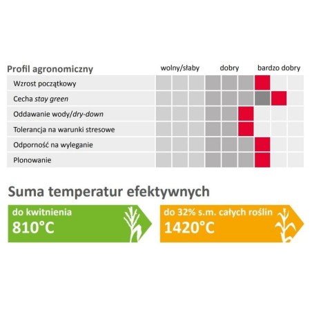 Nasiona Kukurydzy Angeleen 240-250 Limagrain Redigo