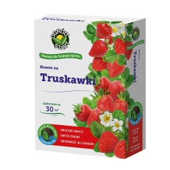 Nawóz Ogród Start Truskawki 1Kg Karton (7)* 