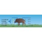 Siatka do ochrony przed dzikami WildNet, 50 m x 90 cm, Kerbl