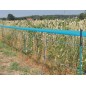 Siatka do ochrony przed dzikami WildNet, 50 m x 90 cm, Kerbl