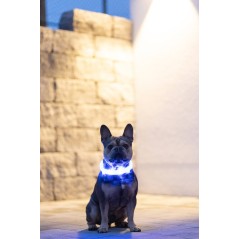 Obroża świecąca dla psa, na długą sierść, 25 mm, niebieska, Kerbl