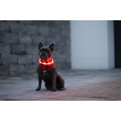 Obroża dla psa LED Maxi Safe, 65 cm x 10 mm, czerwona, Kerbl